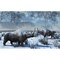 A Pair Of Woolly Rhinoceros In A Severe Pleistocene Winter Landscape Poster Print